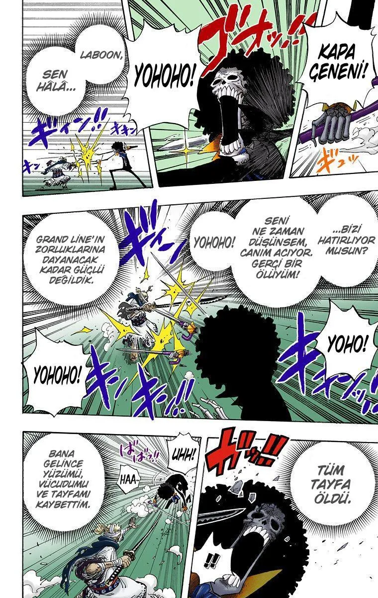 One Piece [Renkli] - Sayfa 16