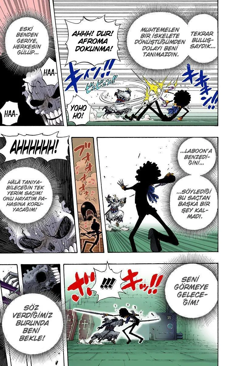 One Piece [Renkli] - Sayfa 17