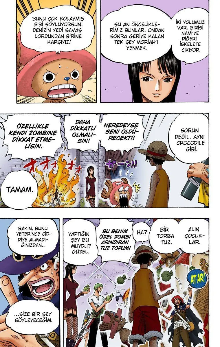 One Piece [Renkli] - Sayfa 6