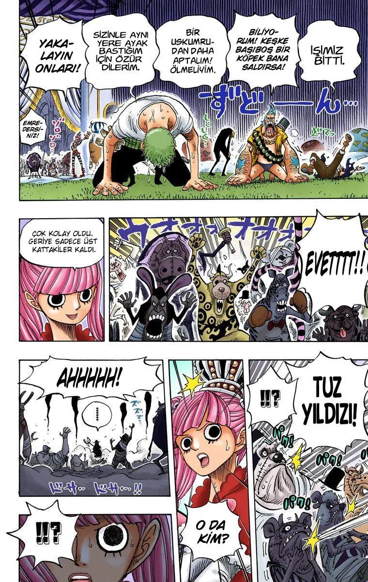 One Piece [Renkli] - Sayfa 15