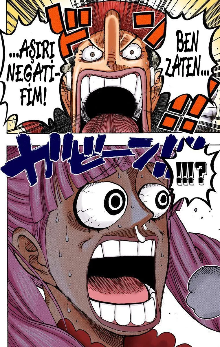 One Piece [Renkli] - Sayfa 17