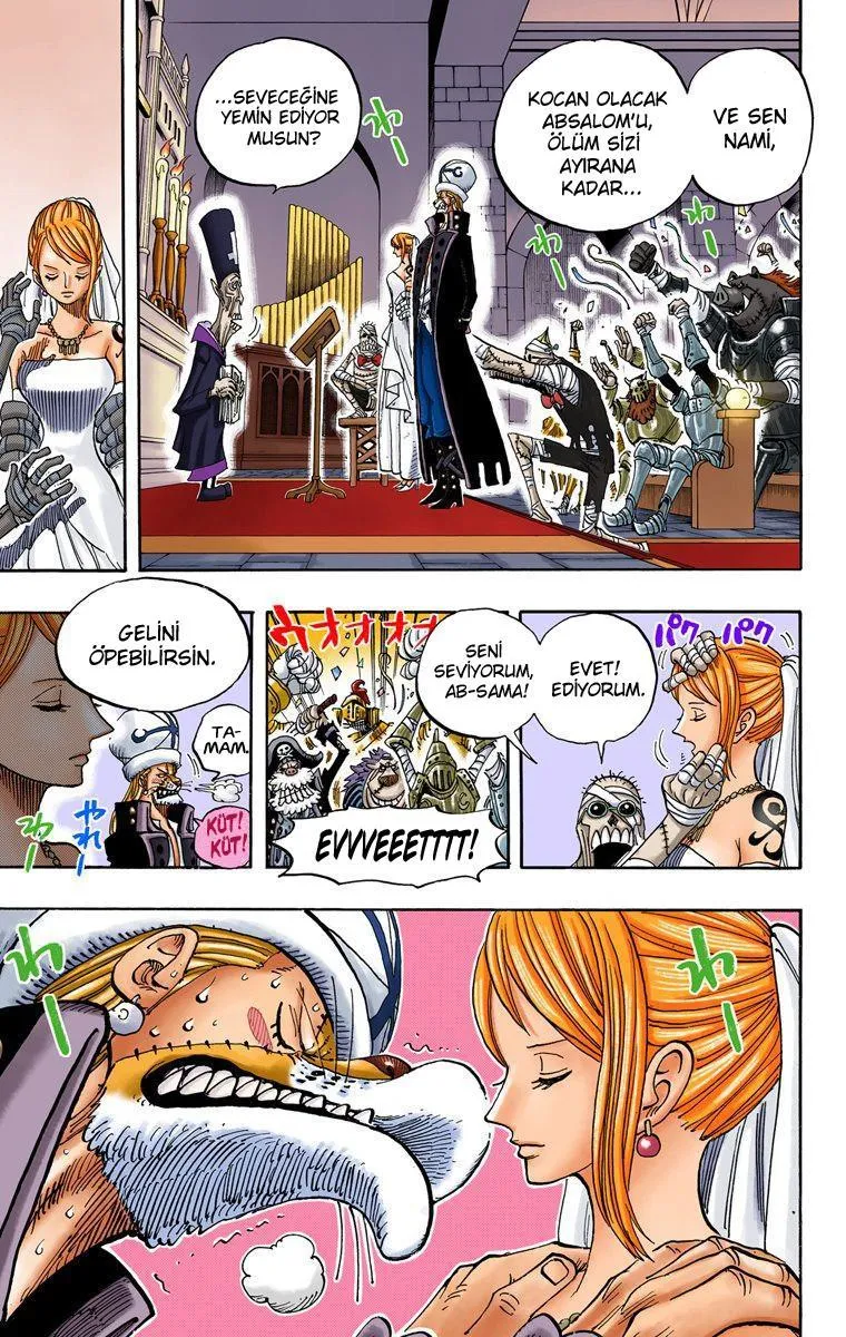 One Piece [Renkli] - Sayfa 20