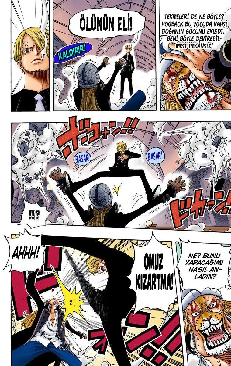 One Piece [Renkli] - Sayfa 17