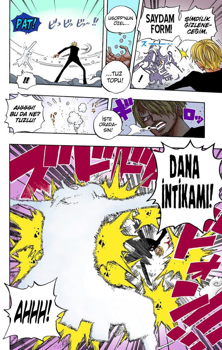 One Piece [Renkli] mangasının 0463 bölümünün 19. sayfasını okuyorsunuz.