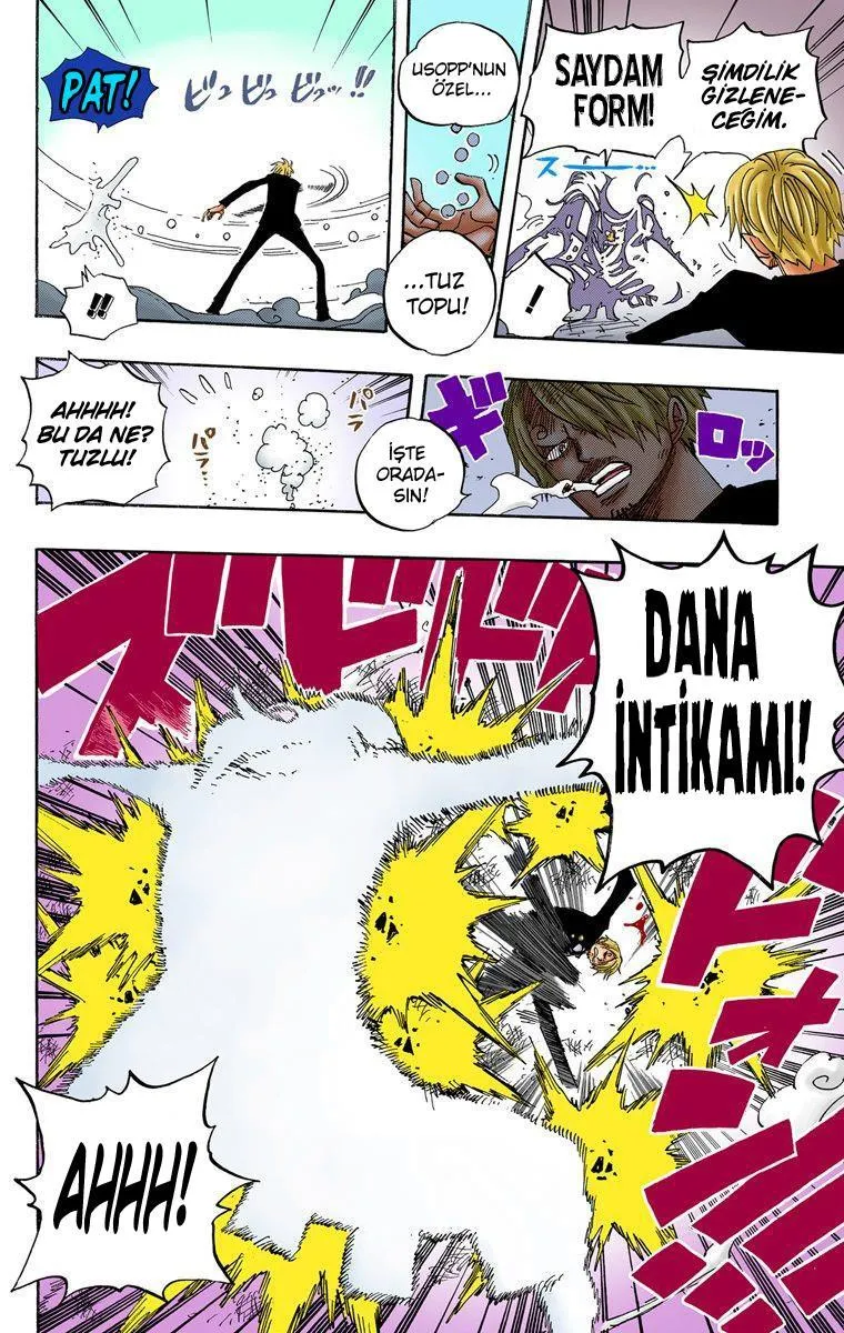 One Piece [Renkli] - Sayfa 19