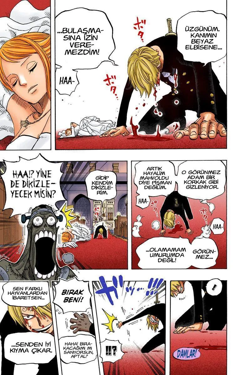 One Piece [Renkli] - Sayfa 13