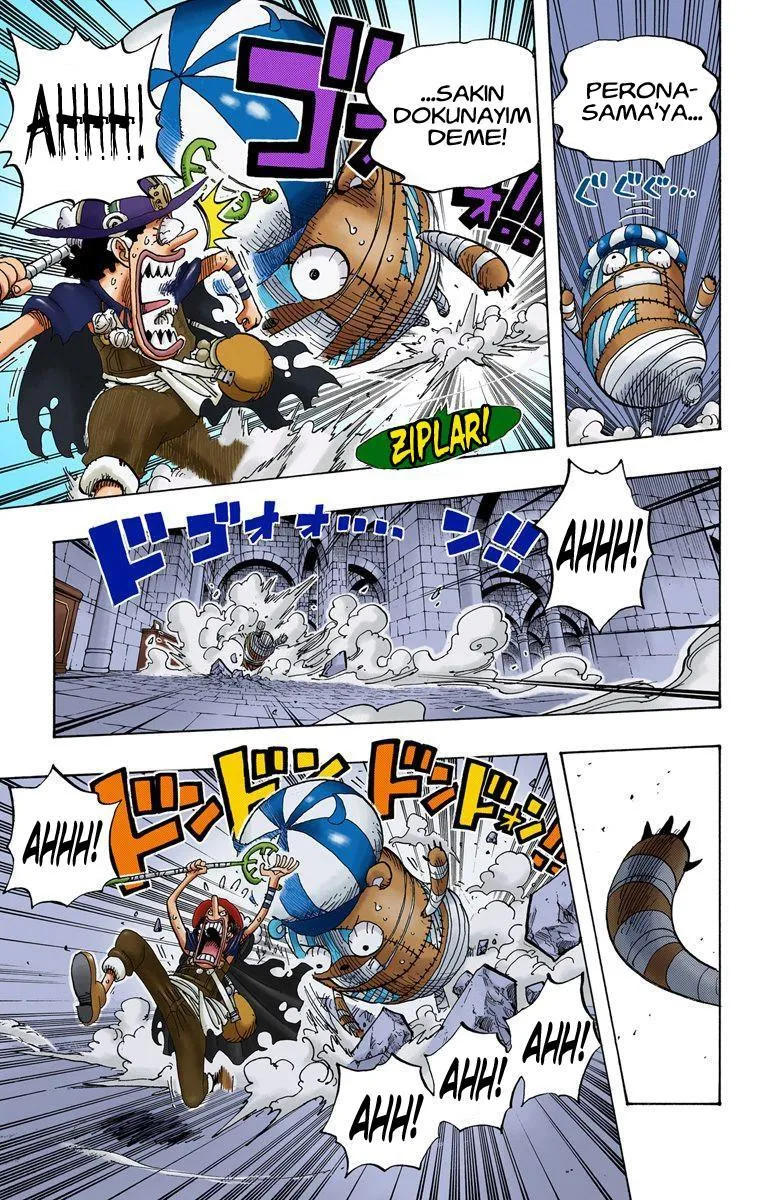 One Piece [Renkli] - Sayfa 16