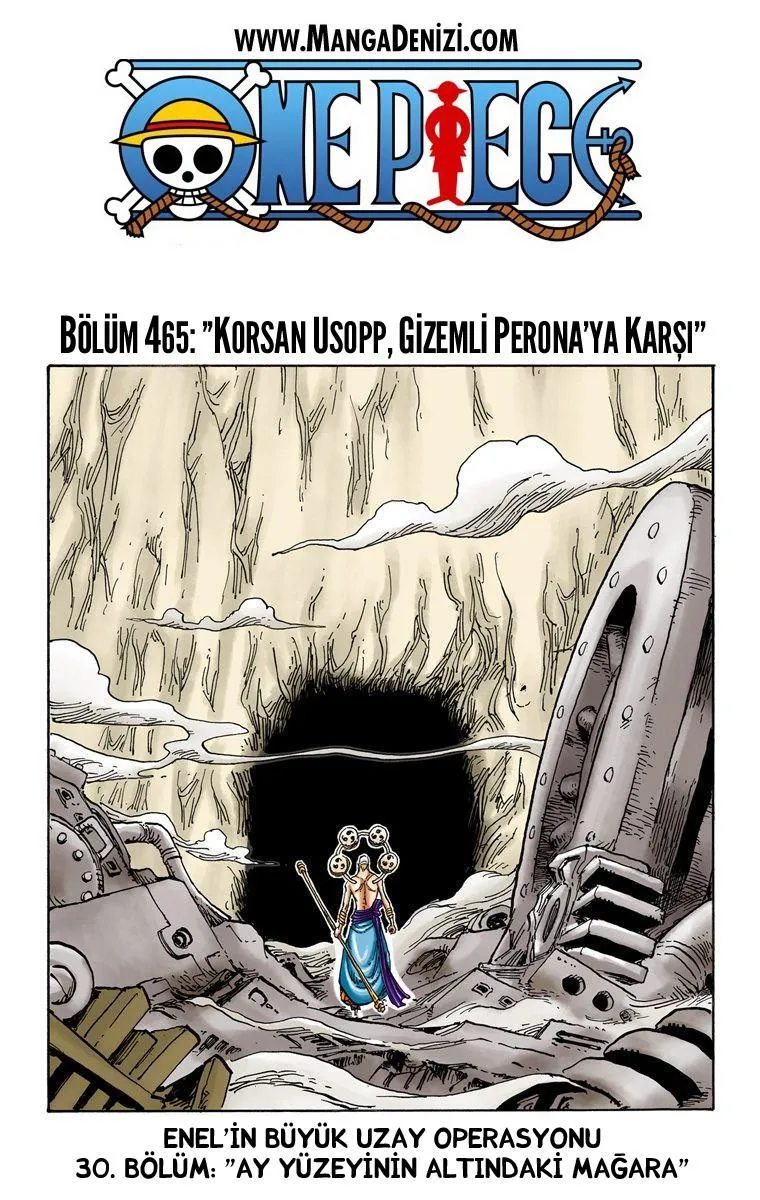 One Piece [Renkli] - Sayfa 2