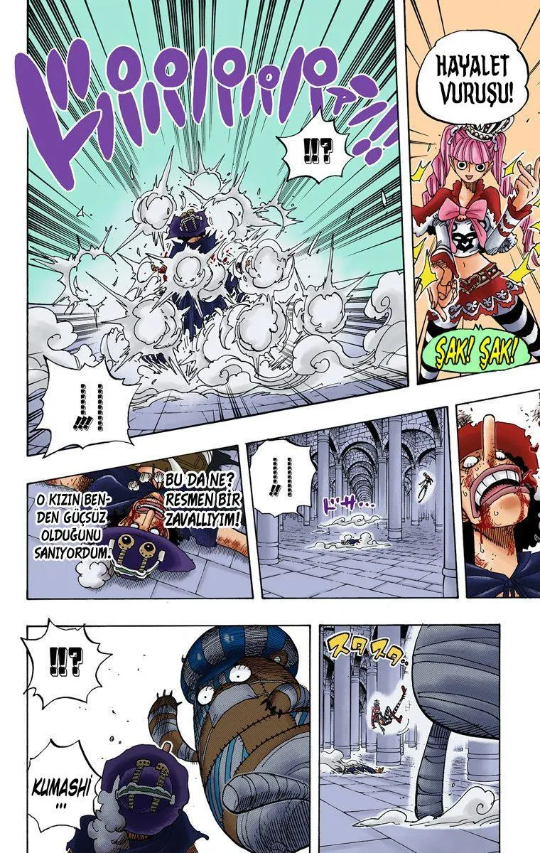 One Piece [Renkli] - Sayfa 15