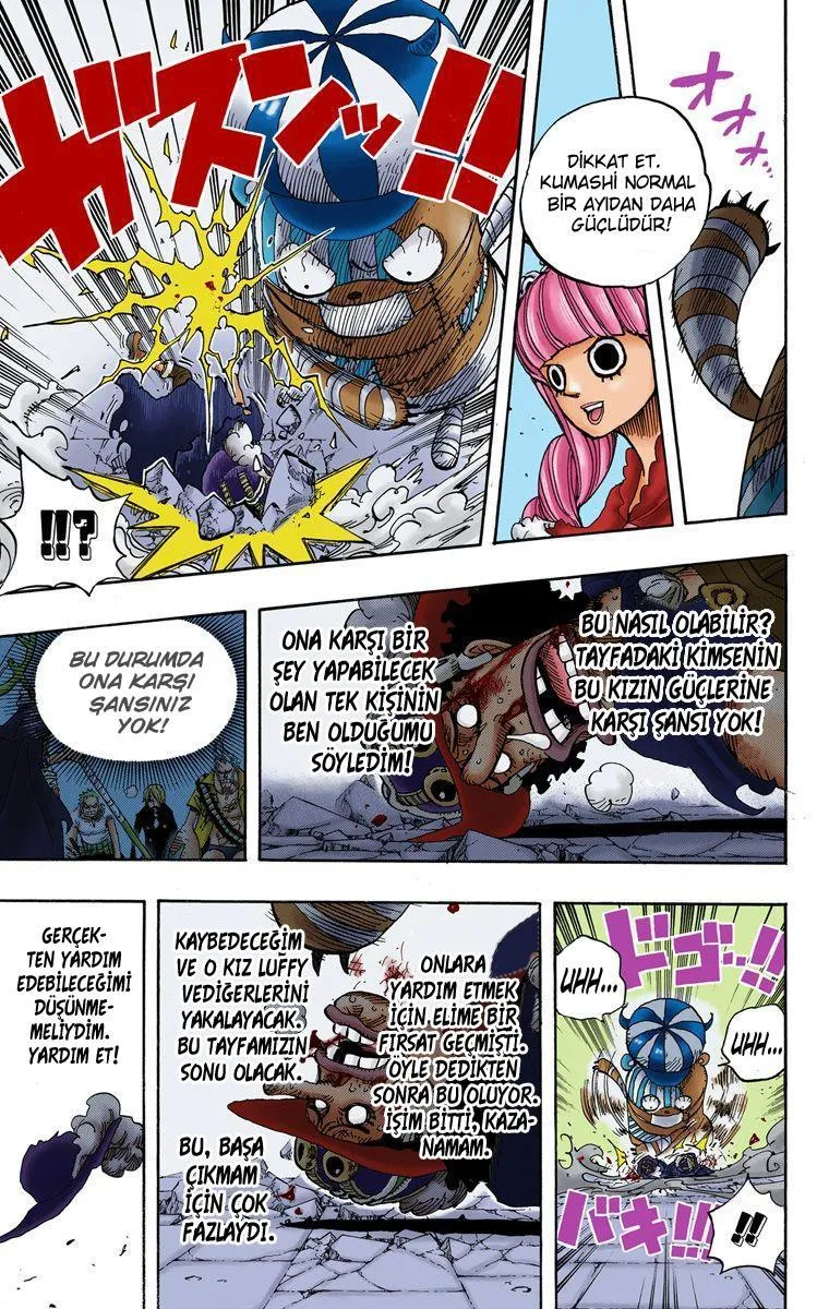 One Piece [Renkli] - Sayfa 16