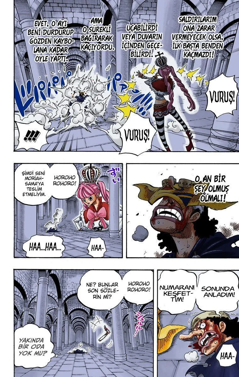 One Piece [Renkli] - Sayfa 19