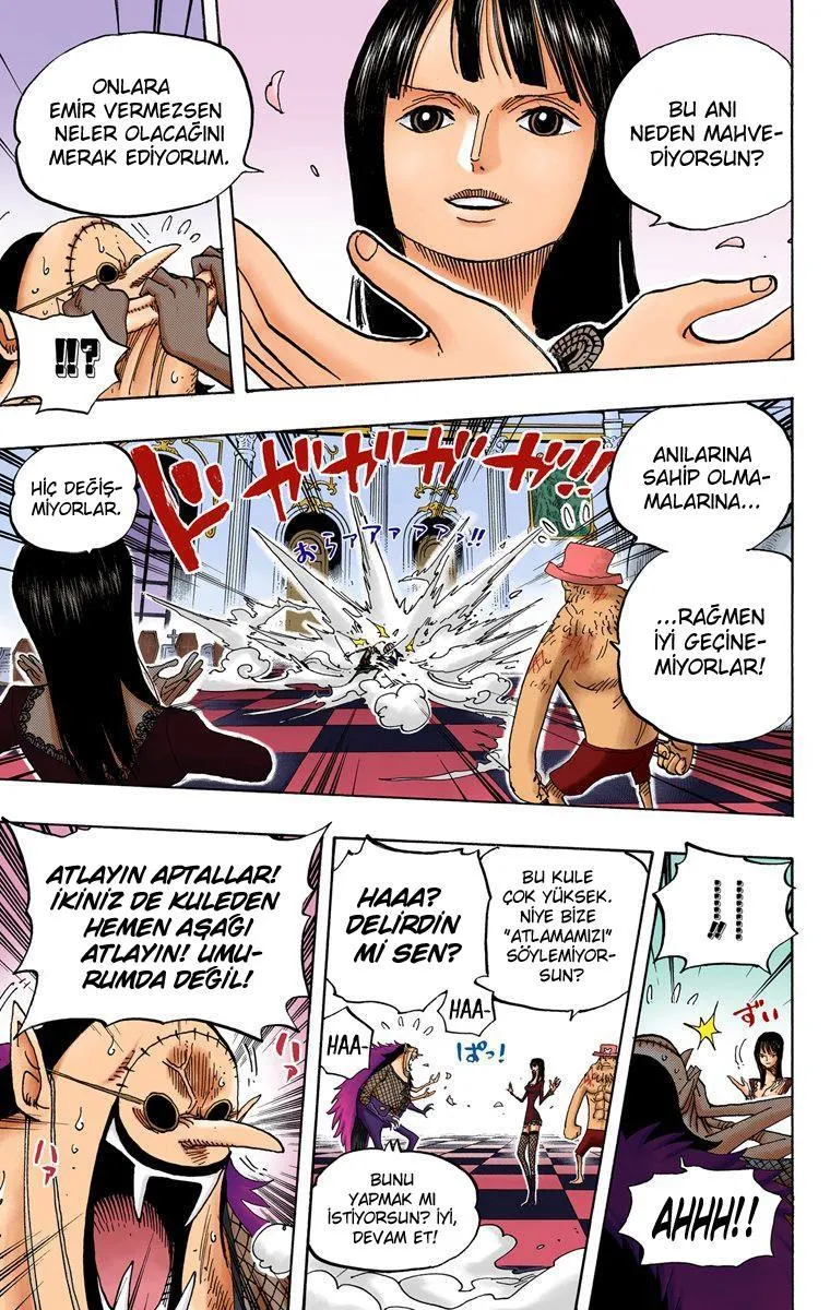 One Piece [Renkli] - Sayfa 18