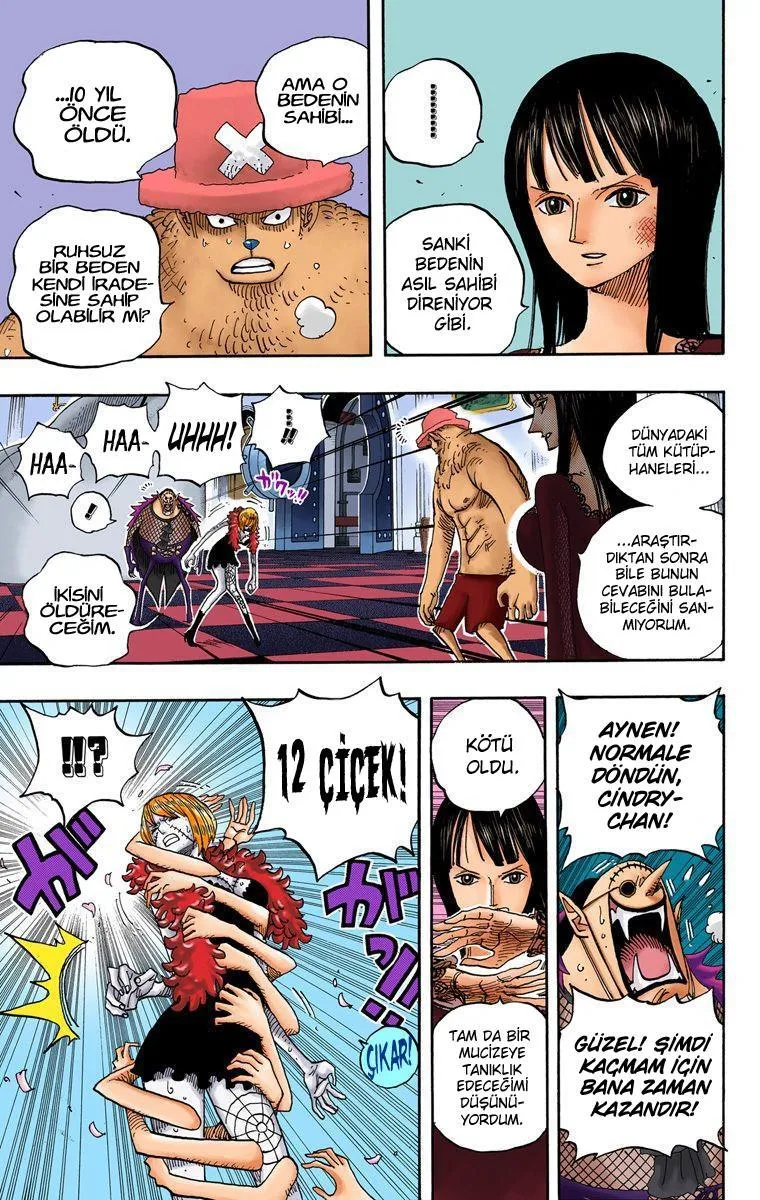 One Piece [Renkli] - Sayfa 4