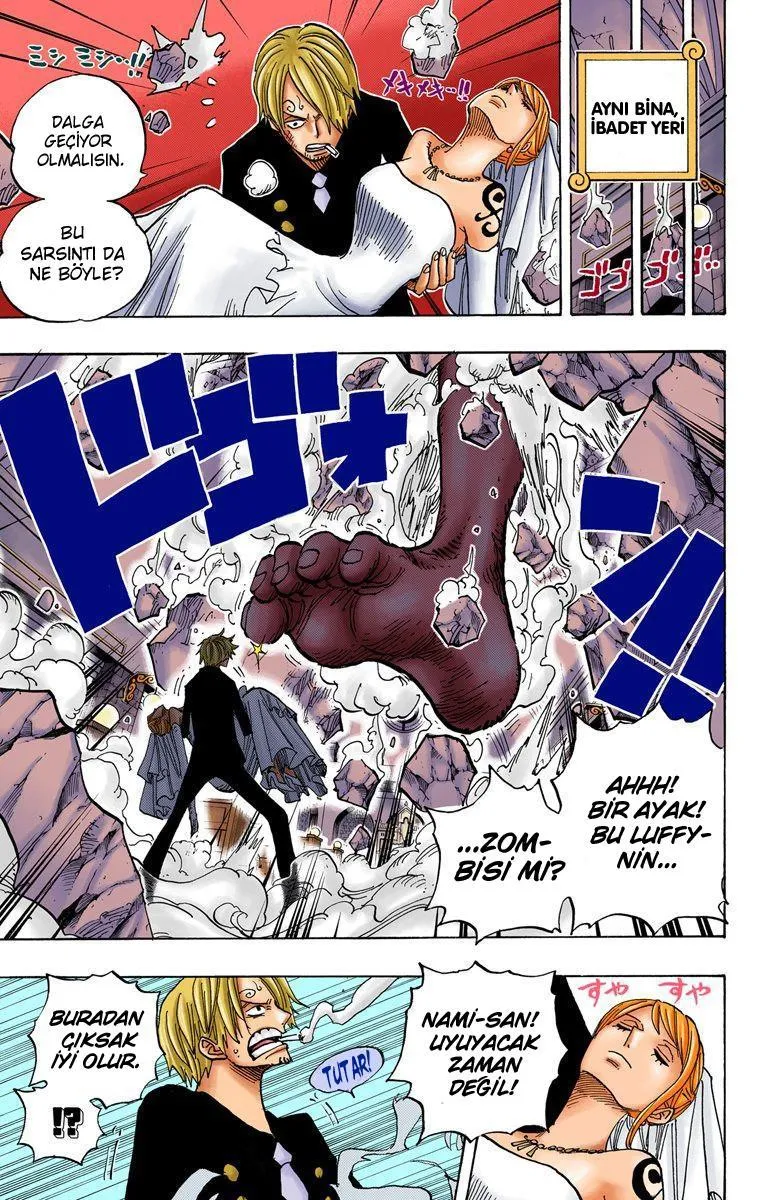 One Piece [Renkli] - Sayfa 13