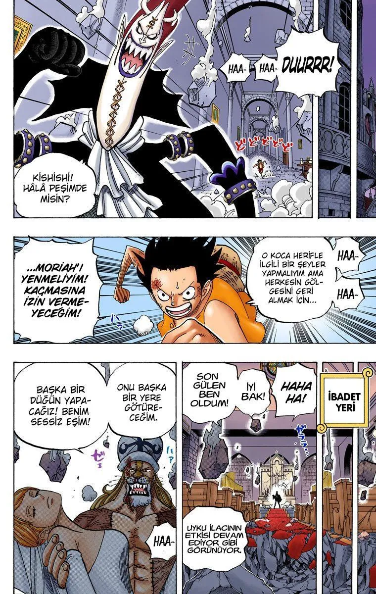 One Piece [Renkli] - Sayfa 15