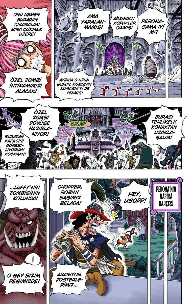 One Piece [Renkli] - Sayfa 16