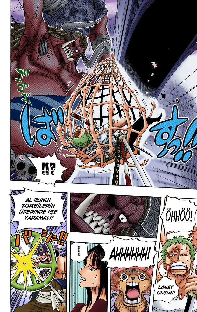 One Piece [Renkli] - Sayfa 14