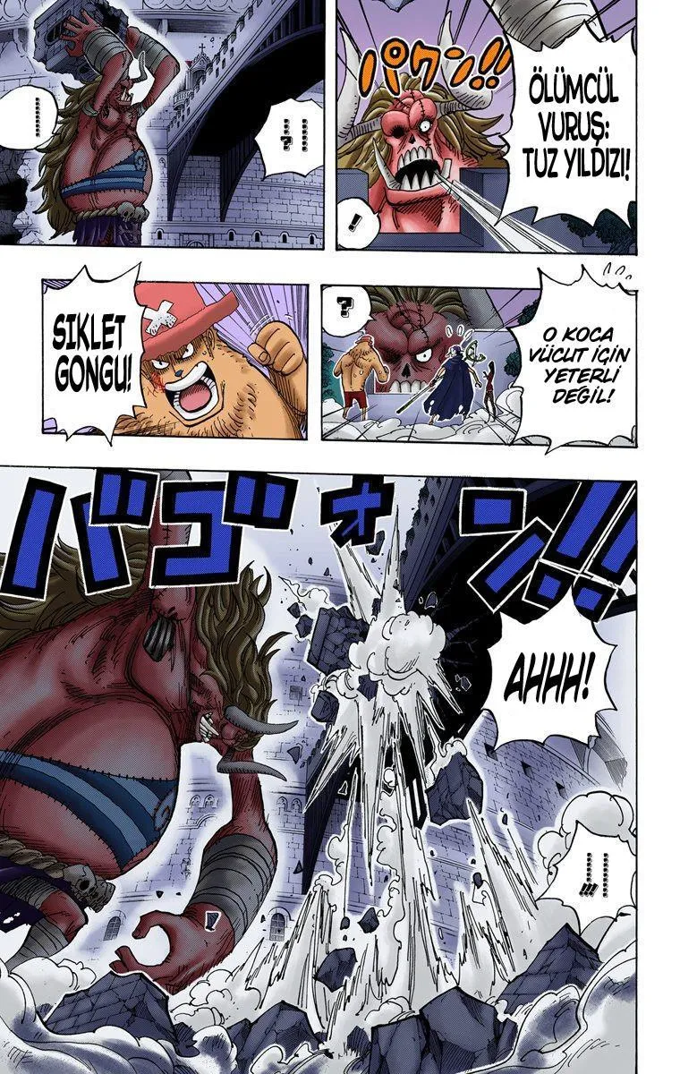 One Piece [Renkli] - Sayfa 15