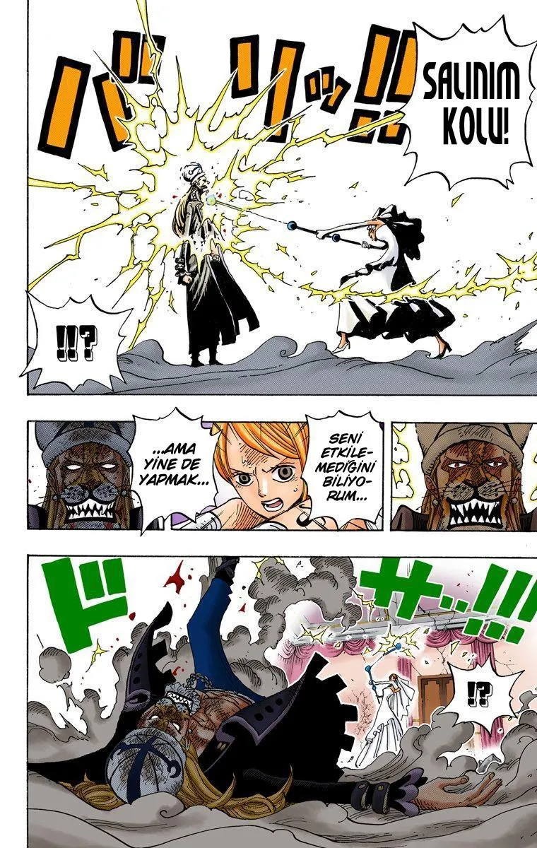 One Piece [Renkli] - Sayfa 14