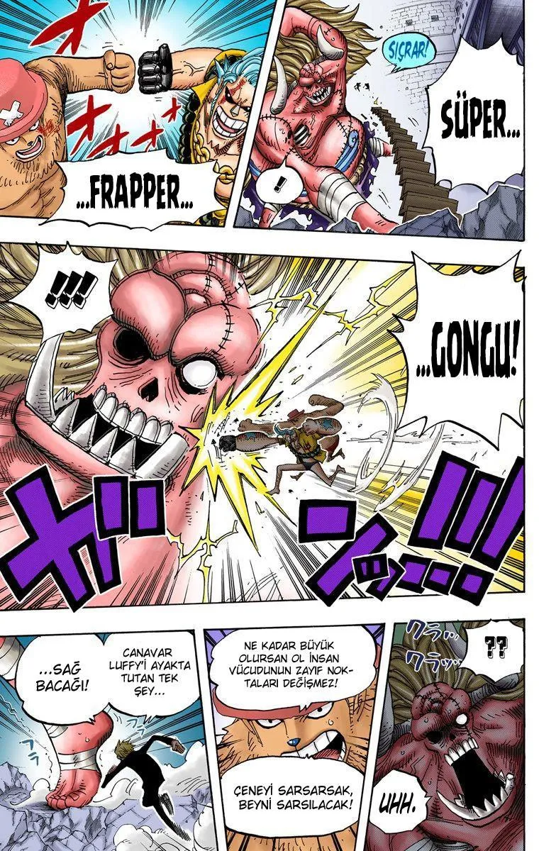 One Piece [Renkli] - Sayfa 13