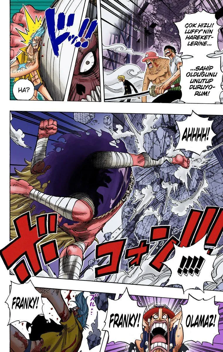 One Piece [Renkli] - Sayfa 13