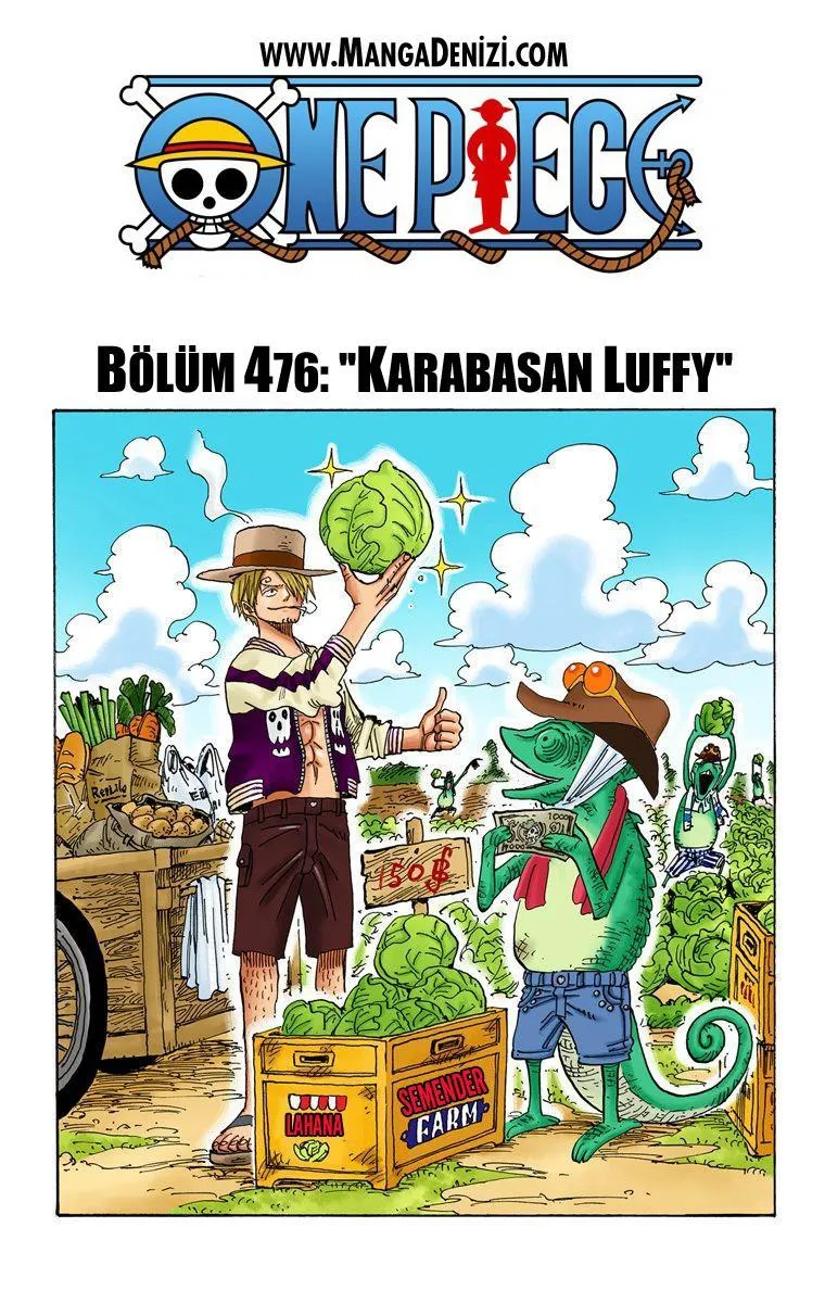 One Piece [Renkli] - Sayfa 2