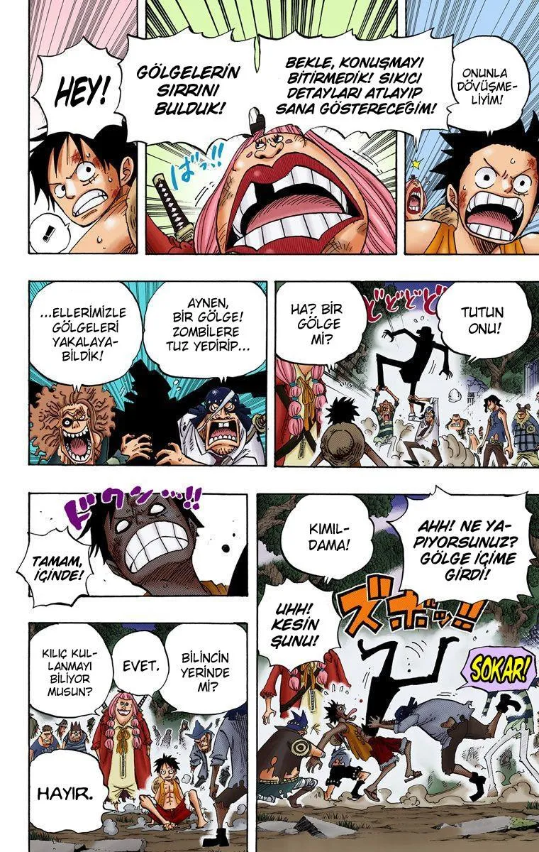 One Piece [Renkli] - Sayfa 5