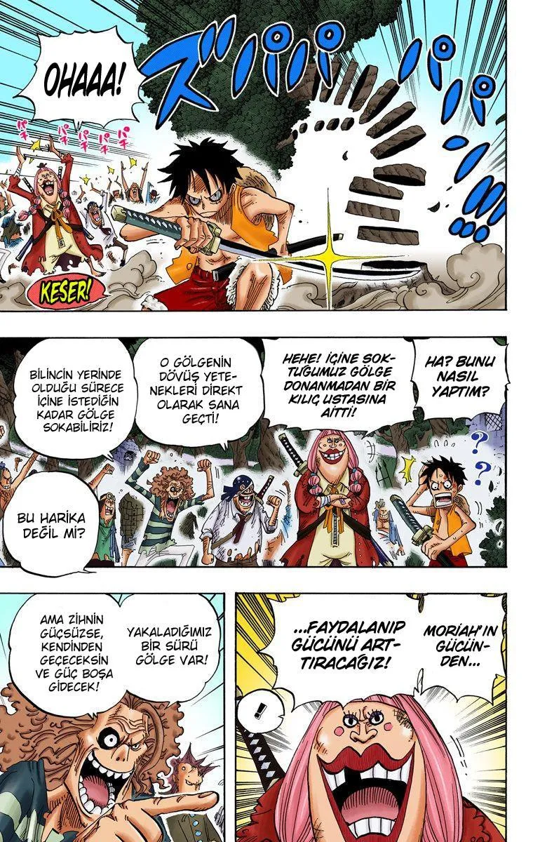 One Piece [Renkli] - Sayfa 6