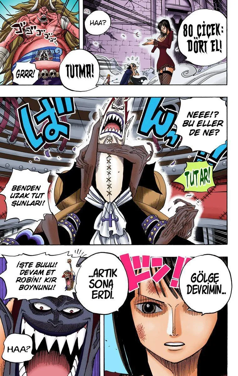 One Piece [Renkli] - Sayfa 19