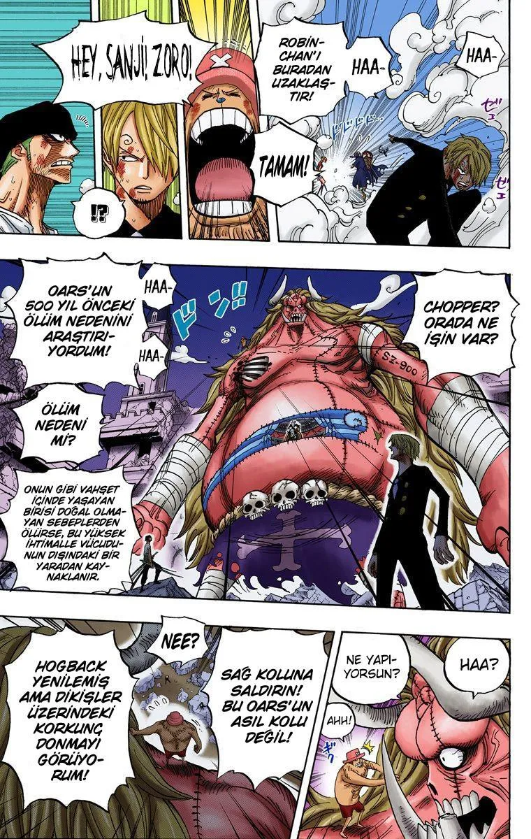 One Piece [Renkli] - Sayfa 13