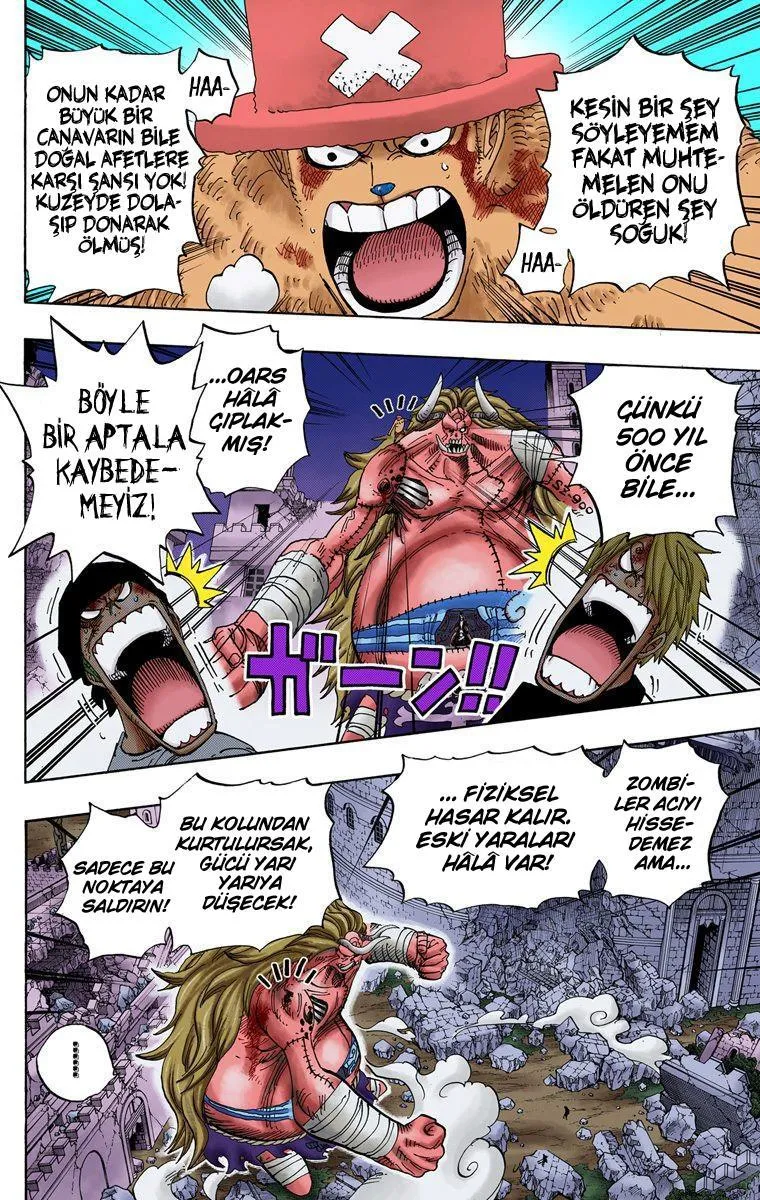 One Piece [Renkli] - Sayfa 14