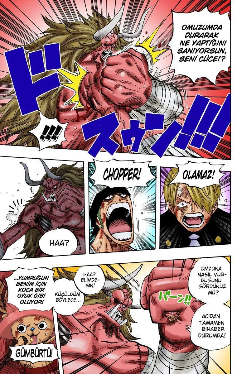 One Piece [Renkli] - Sayfa 15