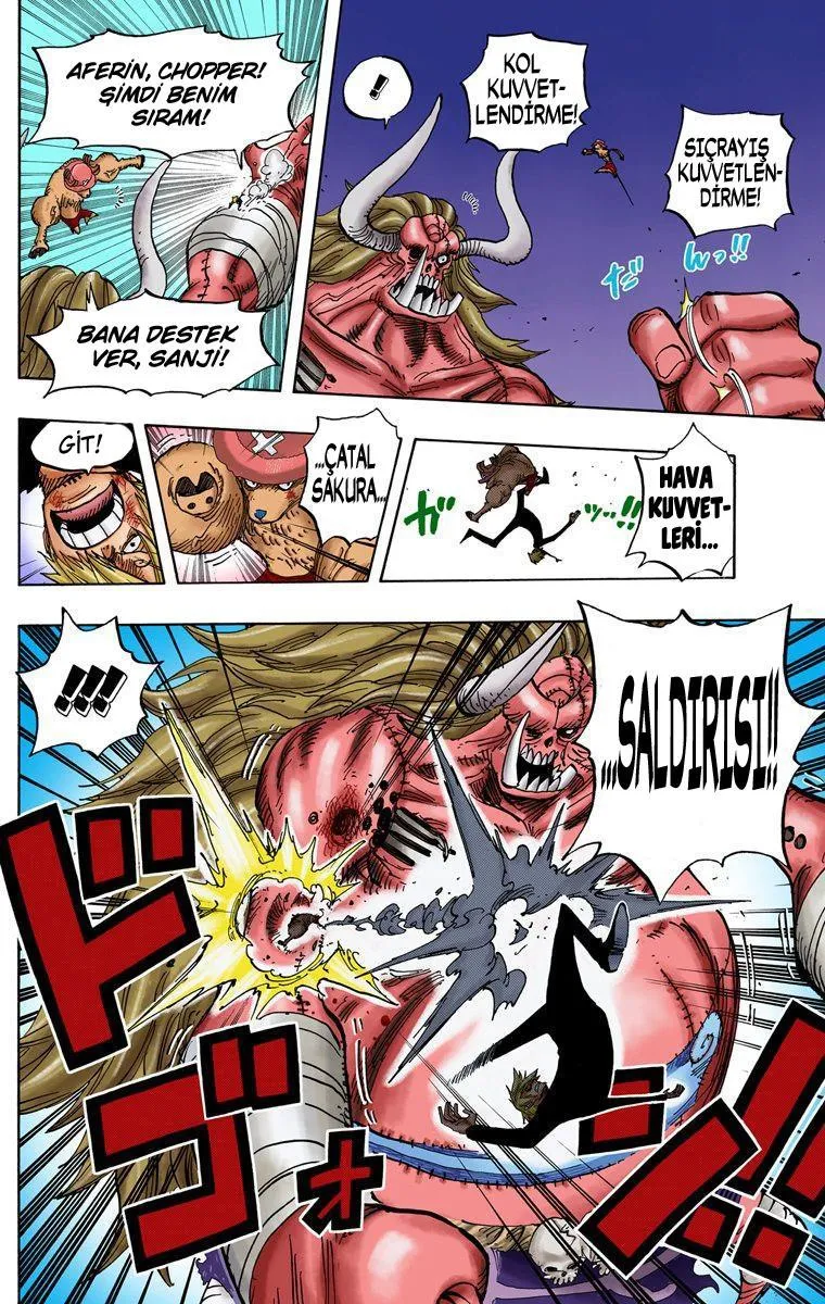 One Piece [Renkli] - Sayfa 16