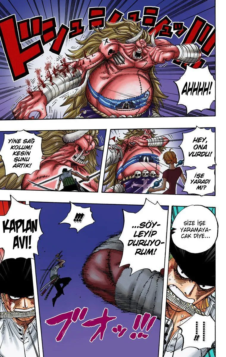 One Piece [Renkli] - Sayfa 5