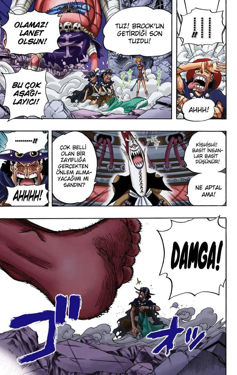 One Piece [Renkli] - Sayfa 9