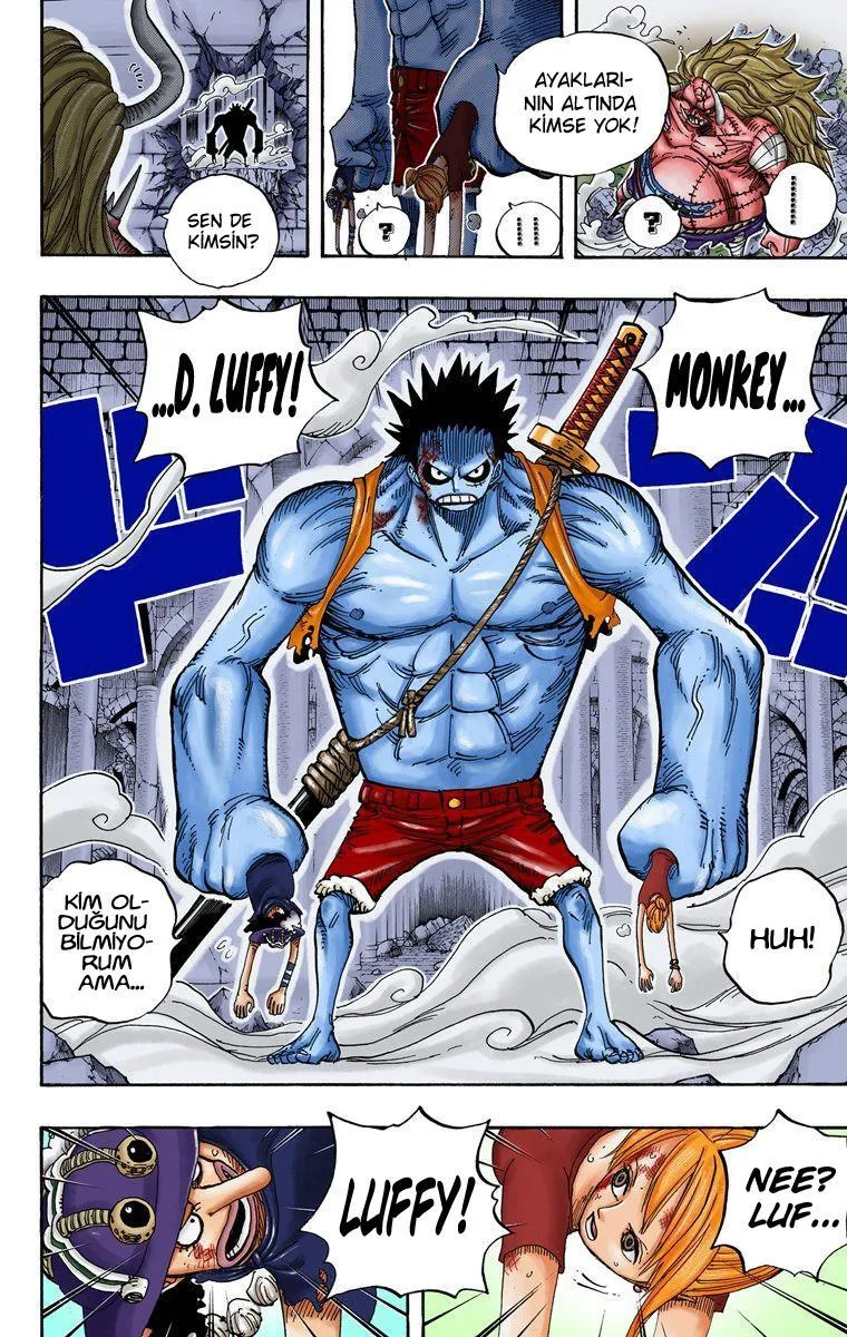 One Piece [Renkli] - Sayfa 12