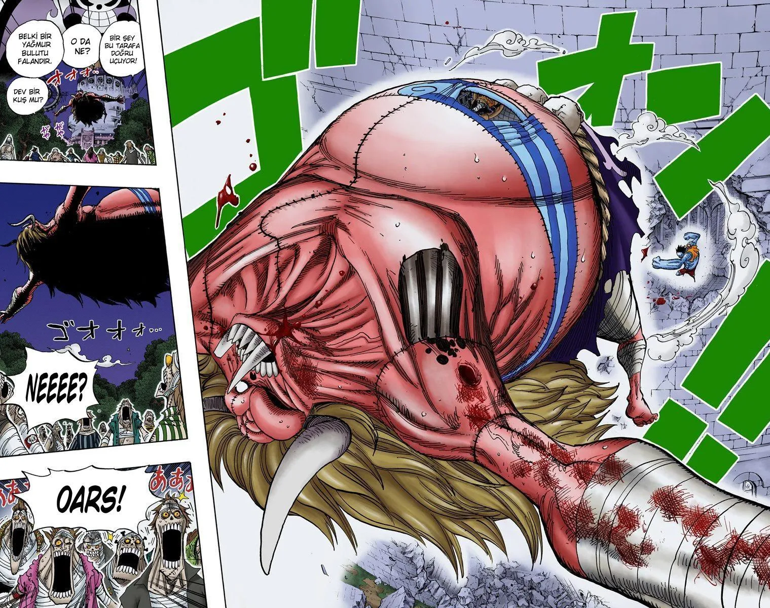 One Piece [Renkli] - Sayfa 15