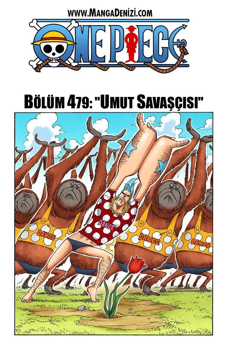 One Piece [Renkli] - Sayfa 2