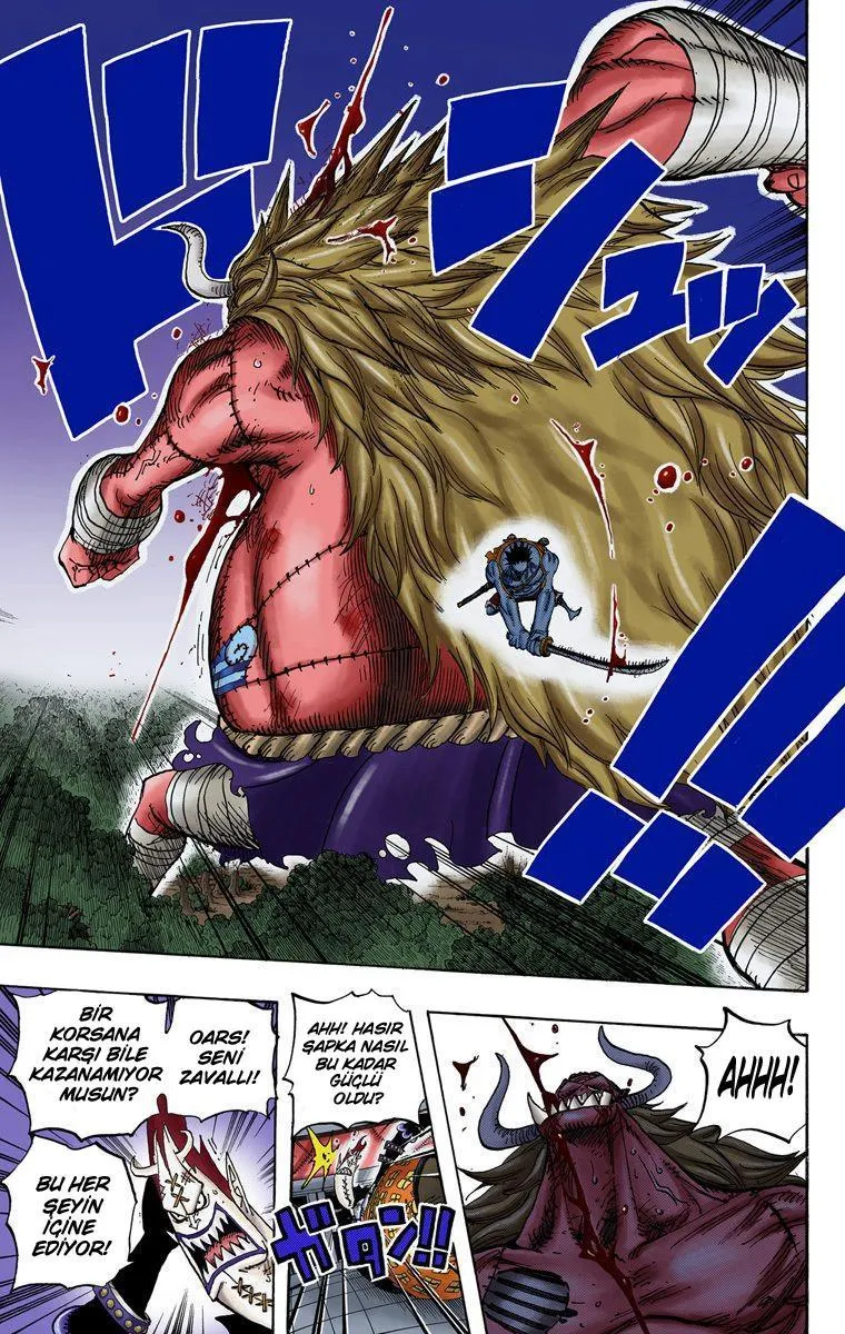 One Piece [Renkli] - Sayfa 10