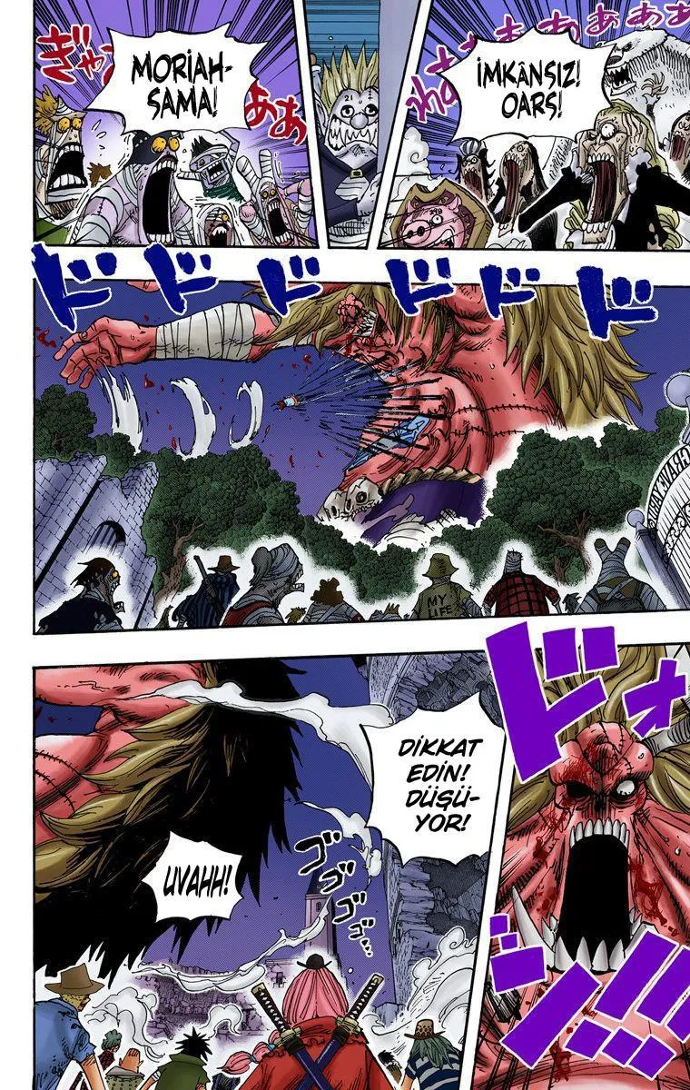 One Piece [Renkli] - Sayfa 14