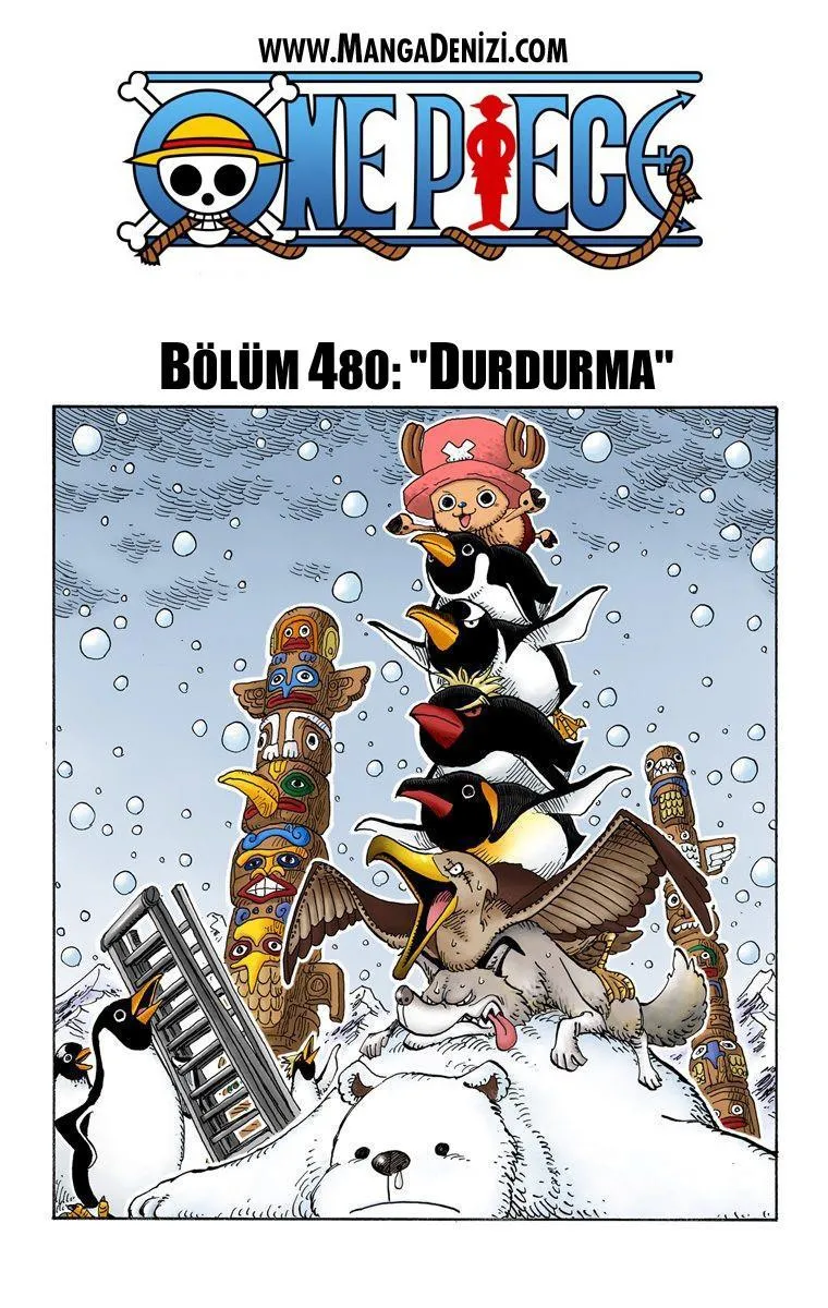 One Piece [Renkli] - Sayfa 2