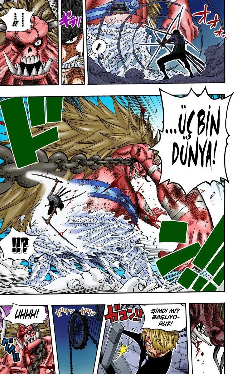 One Piece [Renkli] - Sayfa 15