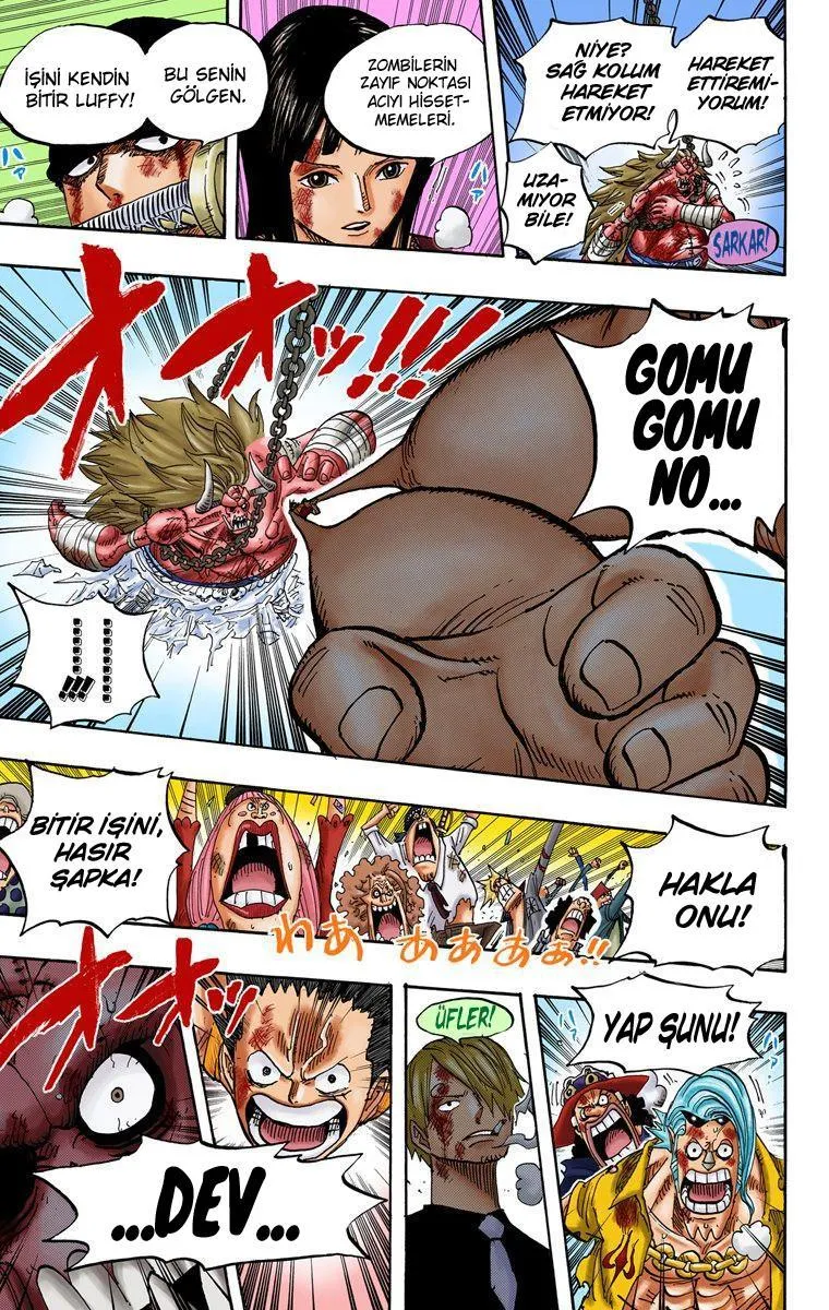 One Piece [Renkli] - Sayfa 17