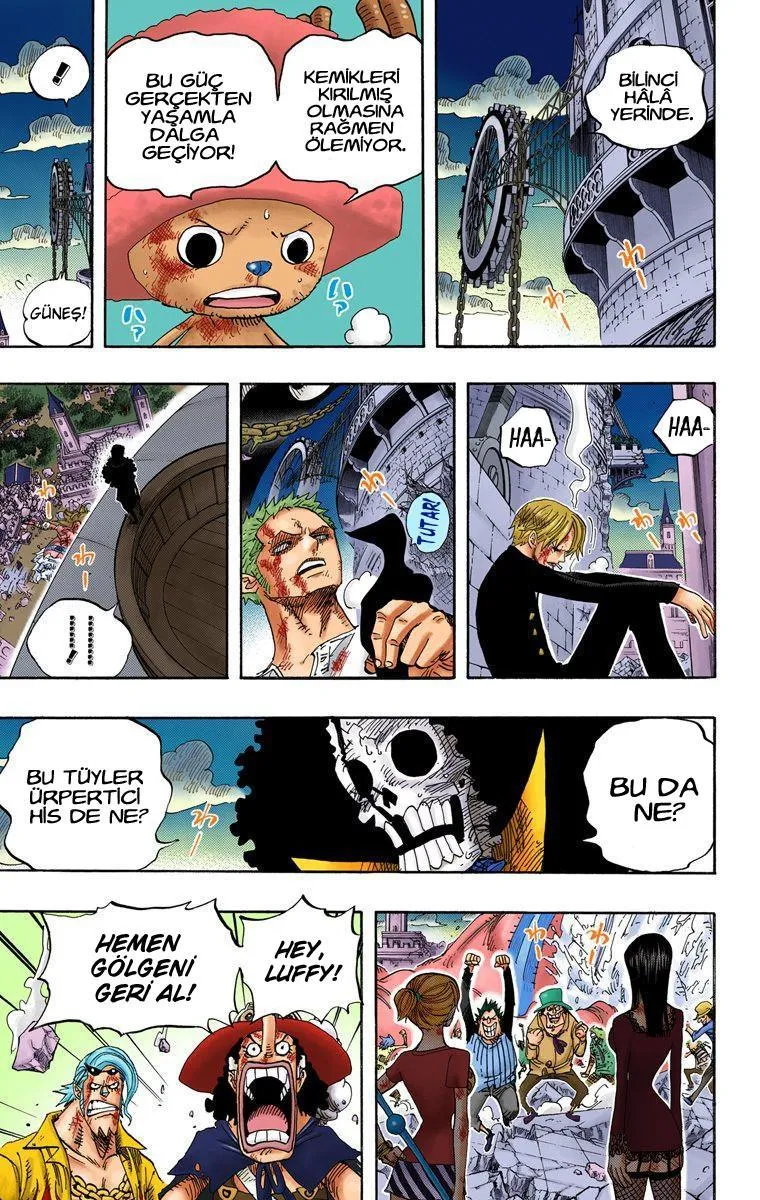 One Piece [Renkli] - Sayfa 6