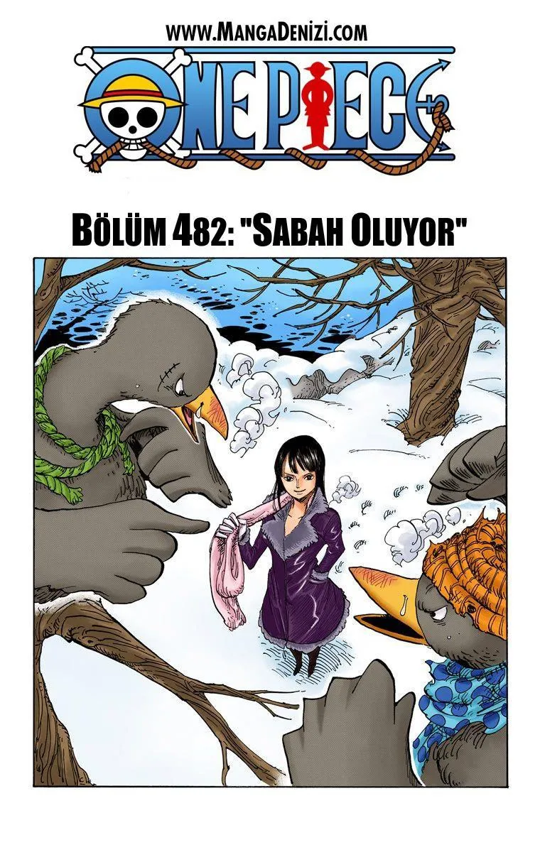 One Piece [Renkli] - Sayfa 2