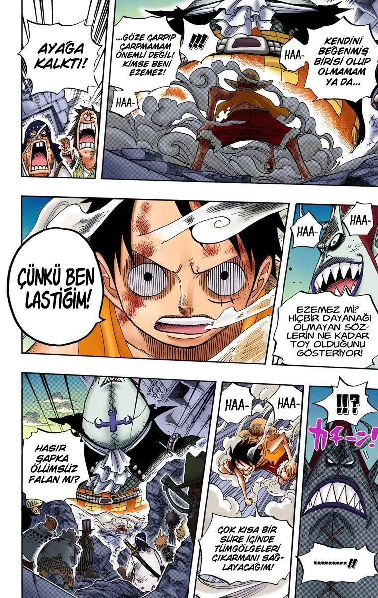 One Piece [Renkli] - Sayfa 12