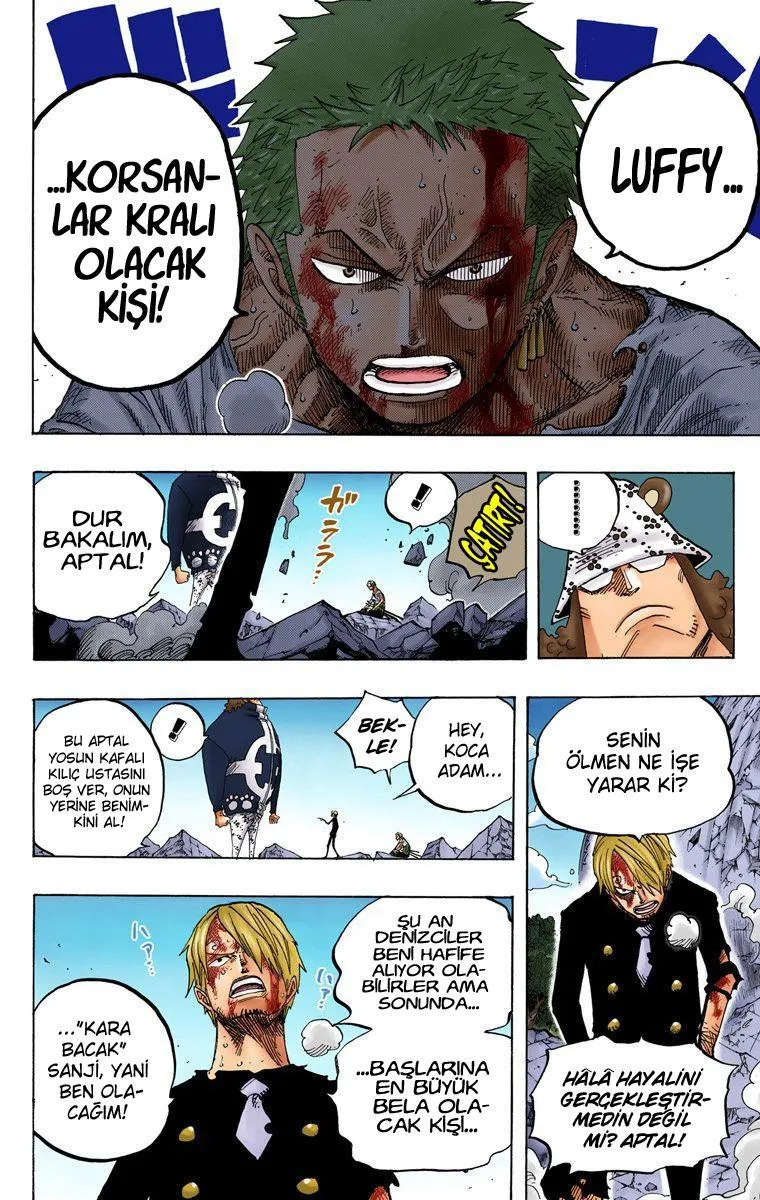 One Piece [Renkli] - Sayfa 13