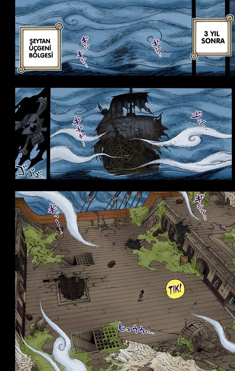 One Piece [Renkli] - Sayfa 13