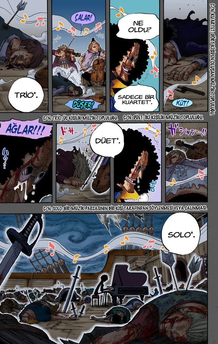 One Piece [Renkli] - Sayfa 17