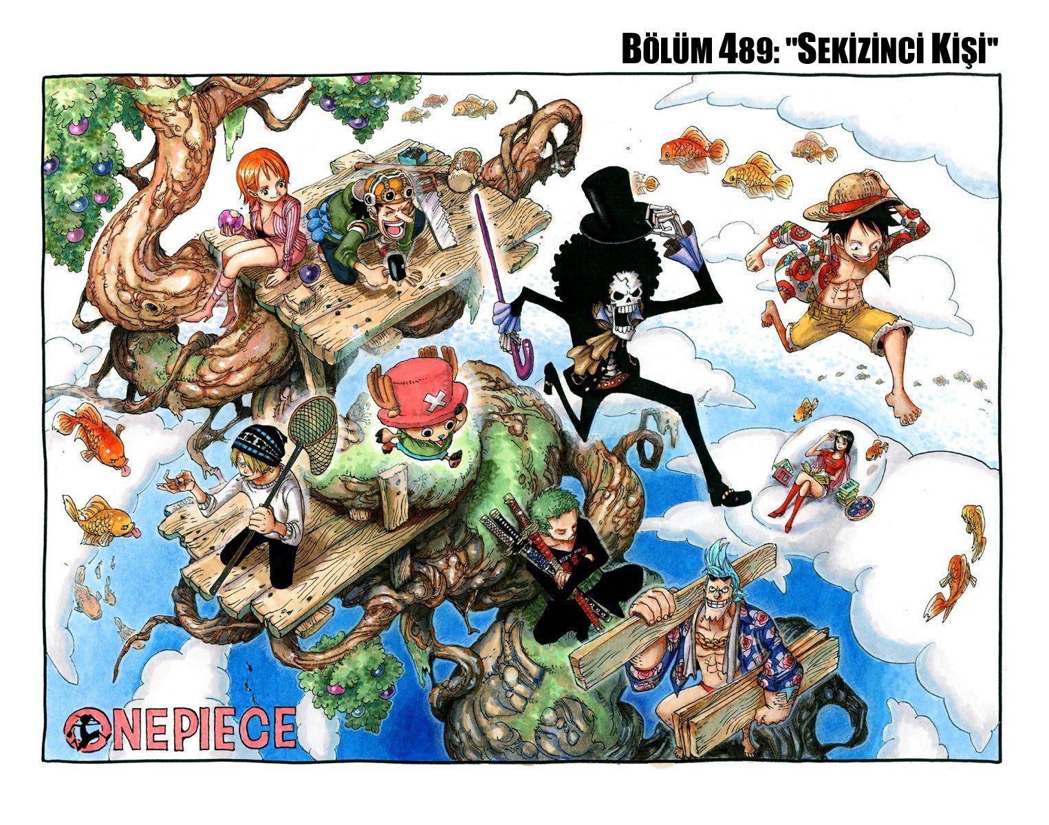 One Piece [Renkli] mangasının 0489 bölümünün 2. sayfasını okuyorsunuz.